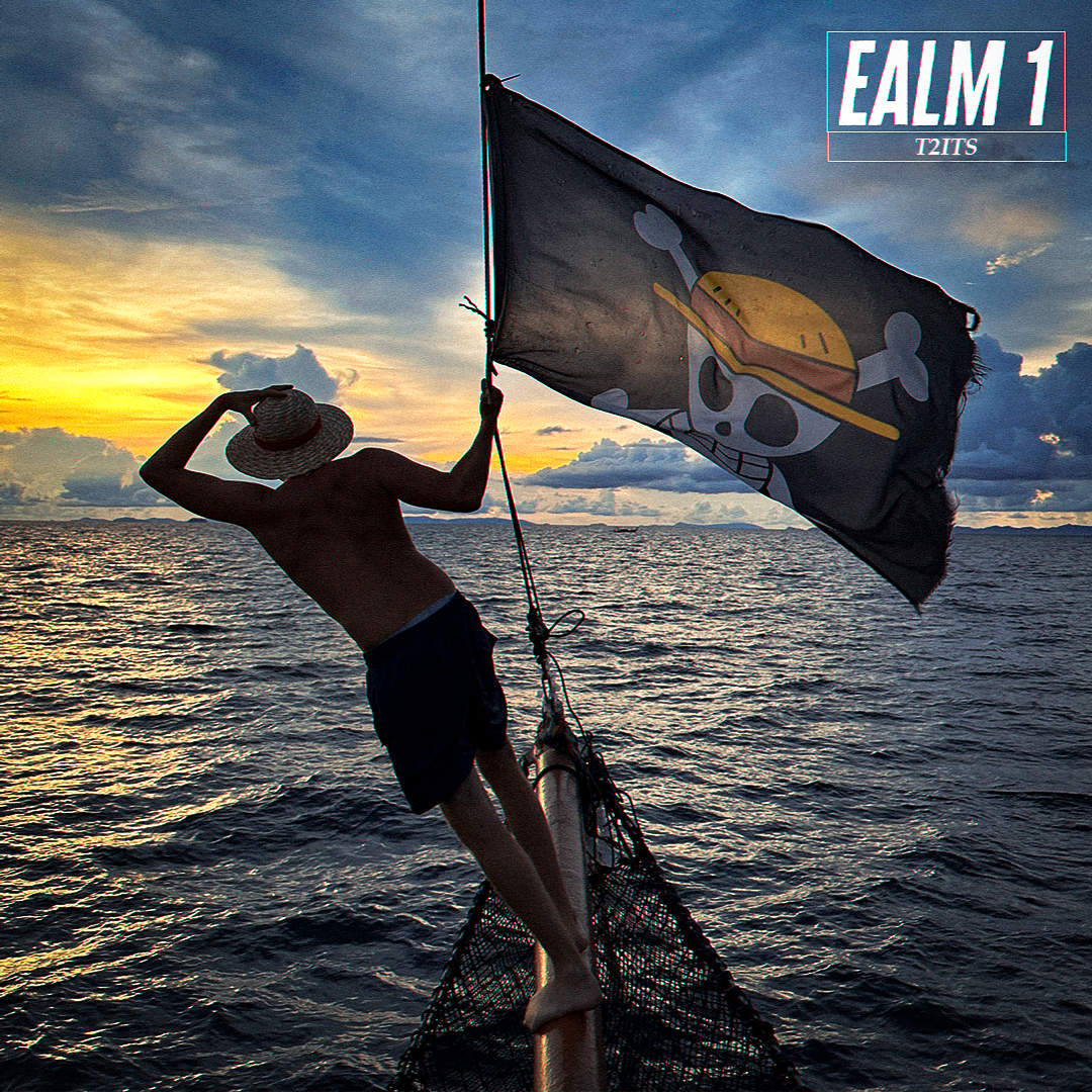 EALM 1 x T2ITS
